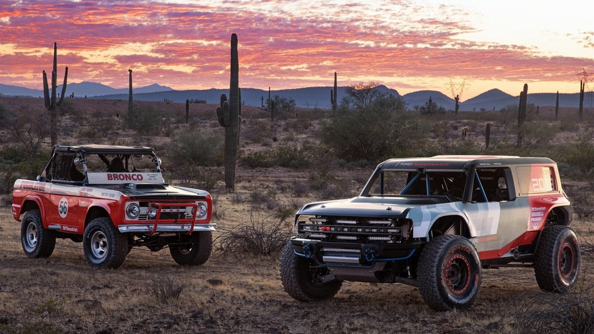 乡村划船运动会:乡土文化新亮点