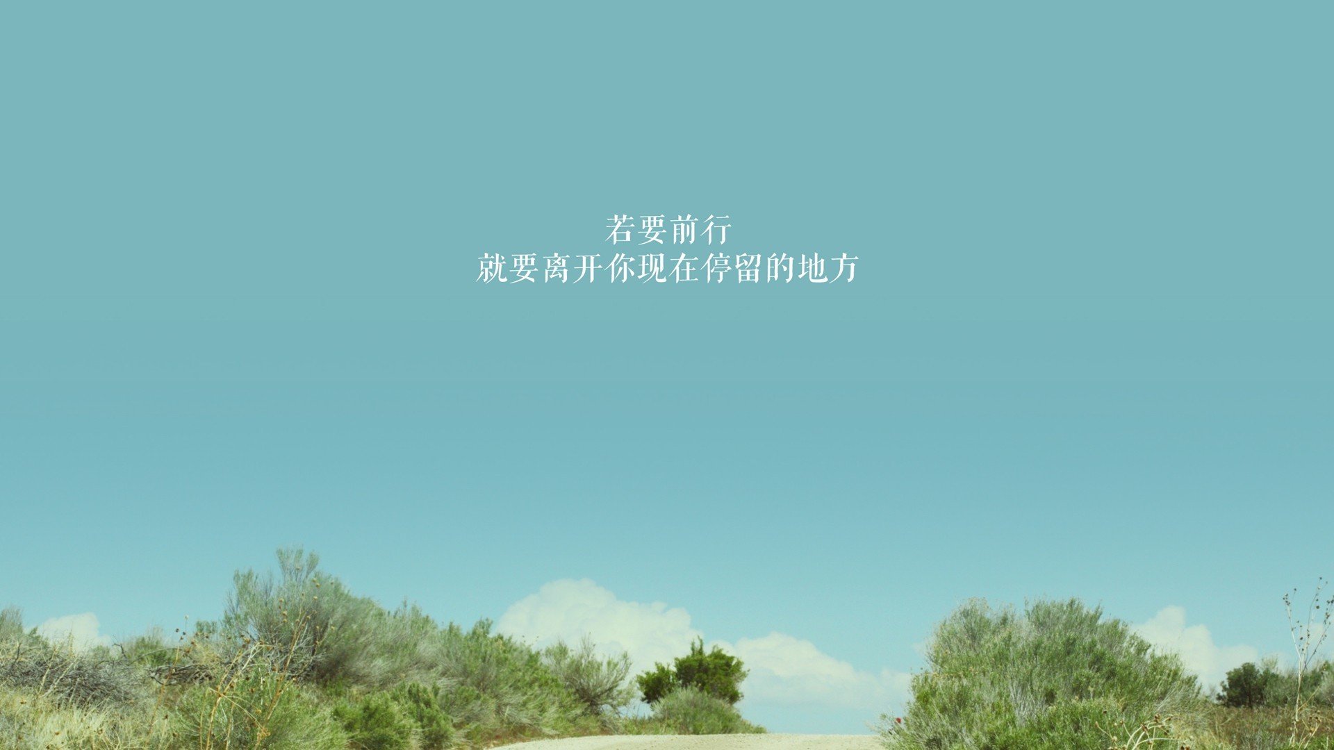 “校园足球赛绽放青春活力,青少年的梦想在绿茵场飞扬”,青少年校园足球赛口号