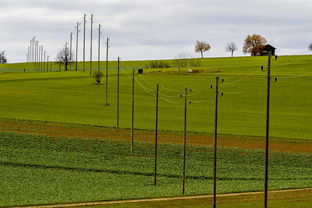 开云电竞账号入口-球员体能负荷评估工具上线助力教练科学制定训练计划，体育负荷强度
